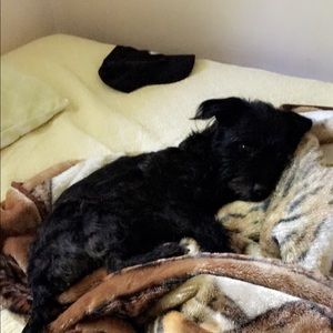 Meet your Posher, Arnold